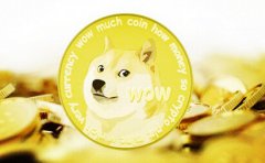 风险投资公司NIN Ventures为狗狗币敞开大门